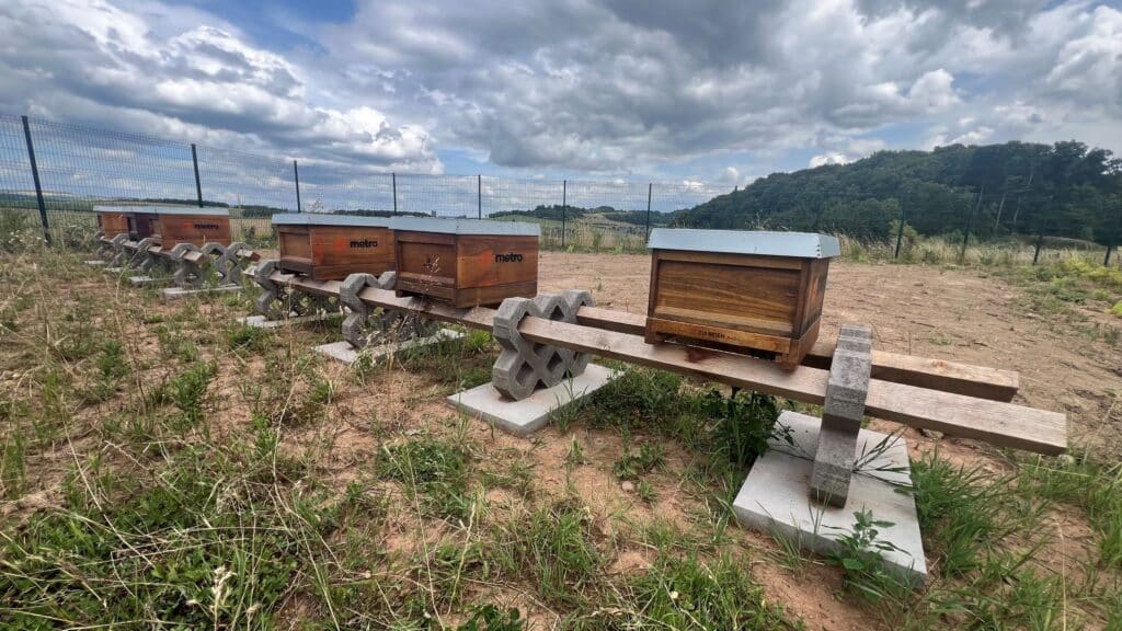 Images des ruches implantées sur le site de Metro